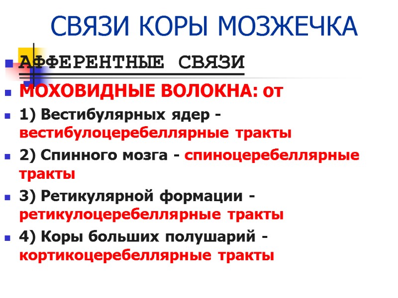 СВЯЗИ КОРЫ МОЗЖЕЧКА АФФЕРЕНТНЫЕ СВЯЗИ МОХОВИДНЫЕ ВОЛОКНА: от 1) Вестибулярных ядер - вестибулоцеребеллярные тракты